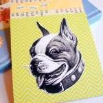 One Little Dog - Boston Te..