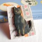 Black Cat Admit..