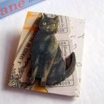 Black Cat Gray ..